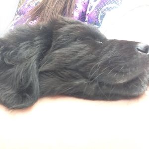 Meet your Posher, Steph